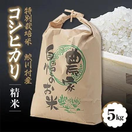 鮫川村産コシヒカリ(精米)5kg【1210534】