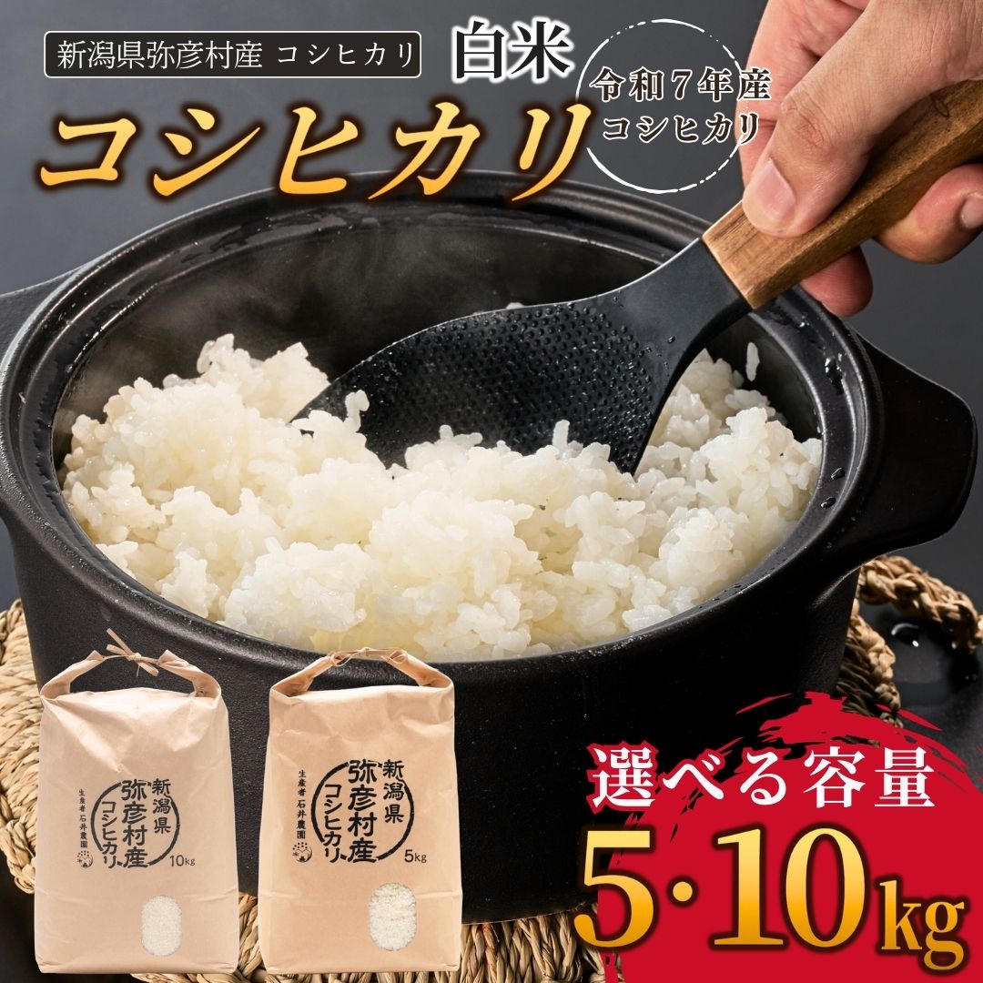 【ふるさと納税】米 コシヒカリ 令和7年産 新潟 選べる容量 5kg 10kg | こしひかり 新潟県産 新潟産 お米 おこめ 白米 精米 ごはん ご飯 ブランド米 お取り寄せ おすすめ ギフト プレゼント 贈答 贈り物 備蓄用 非常用 送料無料 送料込み 新潟県 弥彦村 石井農園