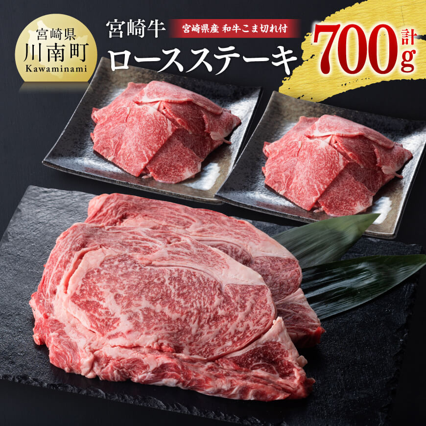 宮崎牛ロースステーキと和牛肉こま切れ　肉 牛肉 黒毛和牛[D0665]