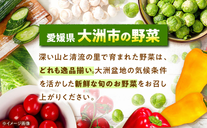 【先行予約】【9月上旬より順次発送】自然の恵みと伝統が育んだ！大洲産トロトロさといも（L〜2Lサイズ）4kg　愛媛県大洲市/沢井青果有限会社 [AGBN003]里芋 和食 朝ごはん 里芋の煮っころがし