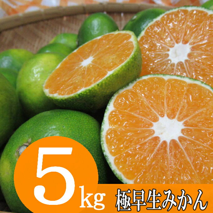【ふるさと納税】 【先行予約】 極早生みかん 5kg フルーツ 果物 柑橘系 限定 みかん ミカン 数量限定 送料無料 ＜9月中旬より発送＞ rk049