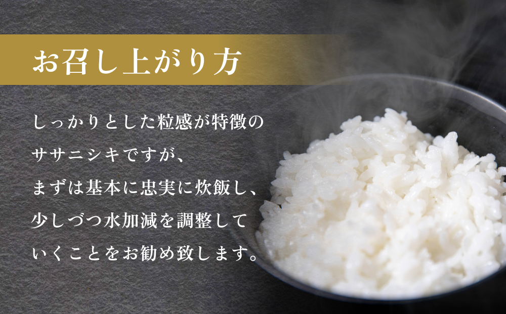 【 先行予約 】＜ 定期便 ＞ 石巻産 ササニシキ 精米 5kg×6回