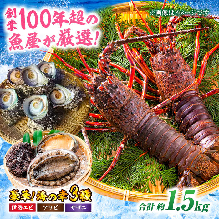 【ふるさと納税】 天然 魚介 3種 セット！( イセエビ 約 300g/アワビ 約 200g /サザエ 約 1kg ) | 人気 おすすめ ランキング おいしい イセエビ 大洲市/天然活魚 濱 屋[AGBP005] 50000 50000円 以下