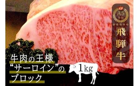 飛騨牛 A5等級 サーロイン ブロック 1kg ブロック肉 豪快お肉の塊でおうちでステーキ ブロック 肉 ステーキ A5ランク 飛騨高山 ながせ食品 e534
