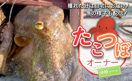 【獲れた分は自宅にお届け！】たこつぼオーナー体験チケット