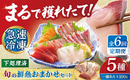 【全６回定期便】下処理済み 超速冷凍 鮮魚5種 五島市/金沢鮮魚 [PEP020] 刺身 定期便 刺身 刺身 定期便