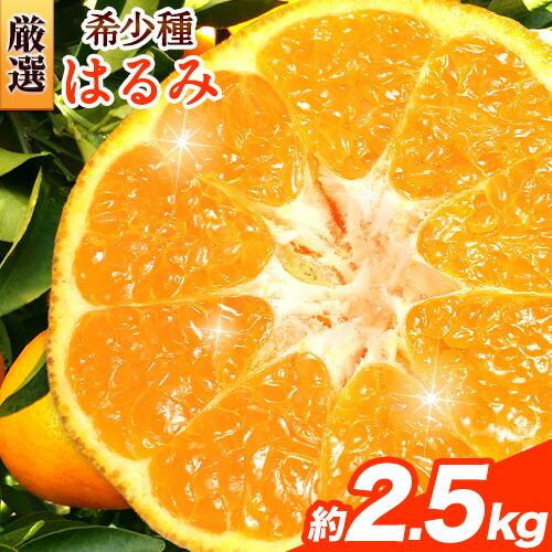 ＜2月より発送＞厳選 はるみ 2.5kg+250g（傷み補償分） 池田鹿蔵農園 日高町《2月上旬-3月末頃出荷》和歌山県 日高町 はるみ みかん 柑橘 フルーツ デコポンの姉妹品種 光センサー選別【配送不可地域あり】