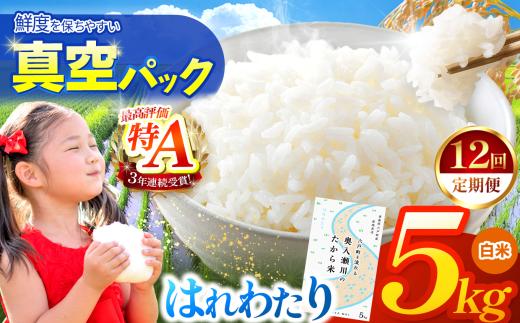 新米 鮮度を保ちやすい 真空パック ！【 12回定期便 】はれわたり 白米5kg | 米 おこめ お米 こめ コメ ごはん ご飯 白飯 ゴハン 白米 精米 特産 ブランド米 ライス 2026年産 令和8年度産 仕送り 国産 産地直送 定期便 定期  青森の旨い米グランプリ もっちり 甘み グランプリ 最優秀賞 獲得 水稲 宝精米所 青森県 六戸町
