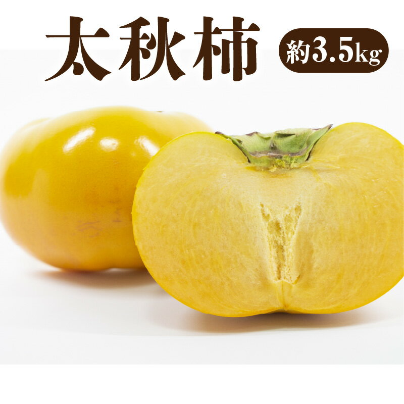 【ふるさと納税】 柿 国産 【先行予約】新食感甘柿 「太秋柿（ たいしゅうがき ）」 約3.2kg 「さくっ！」とした食感で、しっかりとした甘み お取り寄せ ギフト グルメ カキ かき 直送 新鮮 オーガニック 健康 栄養価 送料無料 フルーツ 果物 三豊市 10,000円 台 五色青果