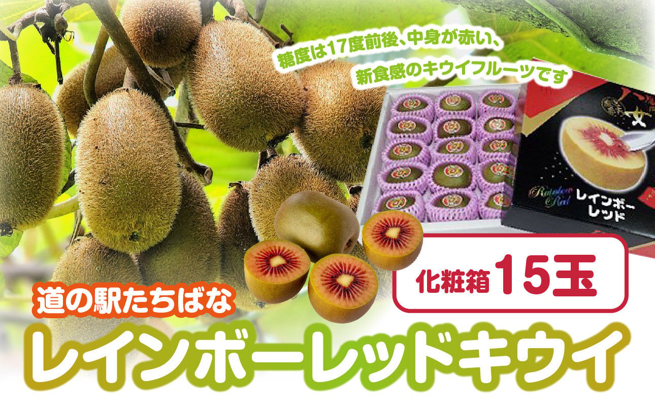 
                  レインボーレッドキウイ 化粧箱15玉【2026年10月～順次発送】 キウイ 高糖度 甘いキウイ 期間限定 数量限定 箱入り 贈答品 福岡県 八女市
                