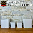 【ふるさと納税】【エコ製品】トヨテックフラワーポット(受皿付)　白　2サイズ×2個セット(4・6号)