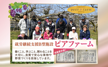 【福井県あわら市産】夢の果実直送便 梨ジュース（720ml×2本）／ ジュース 梨  [aw023-a002]