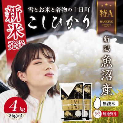 ふるさと納税 十日町市 【無地のし】無洗米 令和7年産 魚沼産 コシヒカリ 4kg (お米の炊き方ガイド付き)