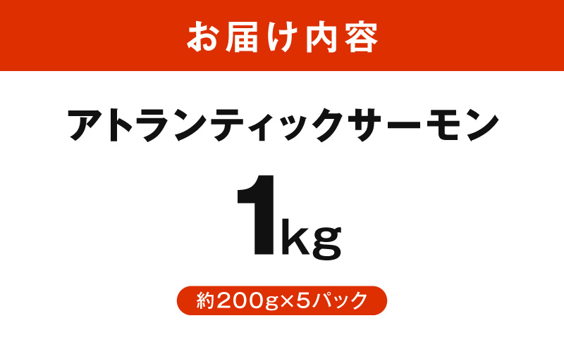 アトランティックサーモン 1kg【小分け 200g×5P 柵切り 刺身 魚介 海鮮 さーもん 生食】 G3528