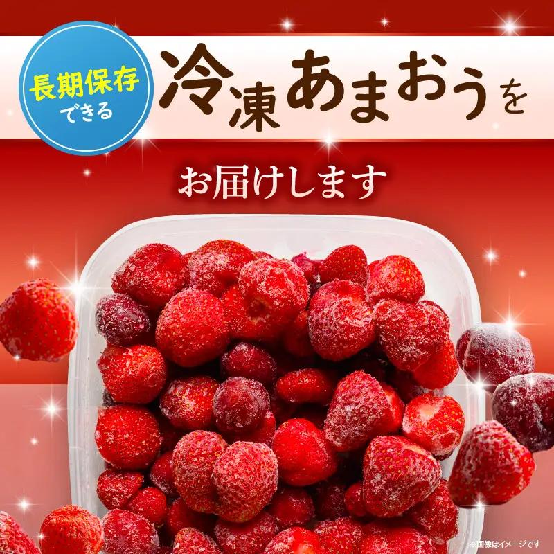 【数量限定】福岡県産あまおう（冷凍1kg）特別栽培_数量限定 急速冷凍 いちご あまおう 1kg 冷凍 3Dフリーザー 長期保存可能 国産 サクサク シャーベット フルーツ デザート フレッシュ 果物