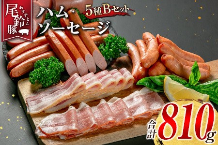 【PREMIUM PORK】 尾鈴豚 ハム ソーセージ 詰め合わせ 合計810g 5種 Bセット 宮崎県産