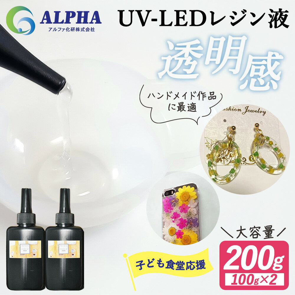 【ふるさと納税】レジン液 100g × 2本 セット 大容量 レジン UVレジン UVレジン液 LEDレジン UV LED クリア ハードタイプ 低粘度 シリコンモールド 手芸 クラフト 手作り 愛知 愛知県 日進市
