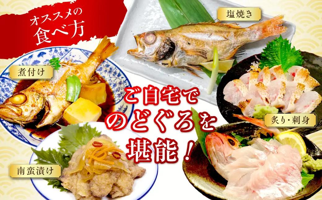 幻の高級魚「のどぐろ（鮮魚）」3～4匹（計800g程度） 魚 鮮魚 海鮮 のどぐろ 冷蔵 高級魚 下処理済 煮付け 塩焼き 【006_2046】