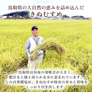 【在庫限定】令和7年産米 きぬむすめ 5kg （大上農園）数量限定 お米 こめ 白米 きぬむすめ