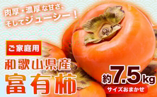 富有柿【先行予約】〈ご家庭用〉 和歌山産 富有柿 約 7.5kg 厳選館《2025年11月上旬-12月下旬頃出荷》和歌山県 日高町 柿 カキ フルーツ ジューシー