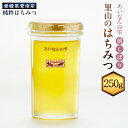 【ふるさと納税】はちみつ 250g 愛南産 蜂蜜 ハチミツ 天然はちみつ 国産 愛南町 愛媛県 送料無料 (328) 【えひめの町（超）推し！（愛南町）】