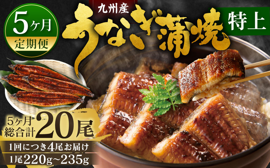 
            【5ヶ月定期便】九州産 うなぎ蒲焼 特上 4尾 (1尾あたり220～235g)  合計20尾 たれ 山椒 鰻 ウナギ 蒲焼き 国産 冷凍 鹿児島、宮崎、熊本等産うなぎ原料使用
          