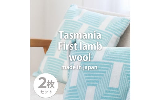 【2枚組】洗えるタスマニアラムウール混クッションカバー 45×45cm OTW-4545-GR-2P