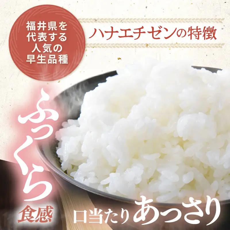 【先行予約】【令和8年産】定期便 ≪3ヶ月連続お届け≫ ハナエチゼン 精米 5kg（計15kg）（農事組合法人イーノなかのはま100）お米 ※2026年10月より順次発送予定 [aw139-b001]