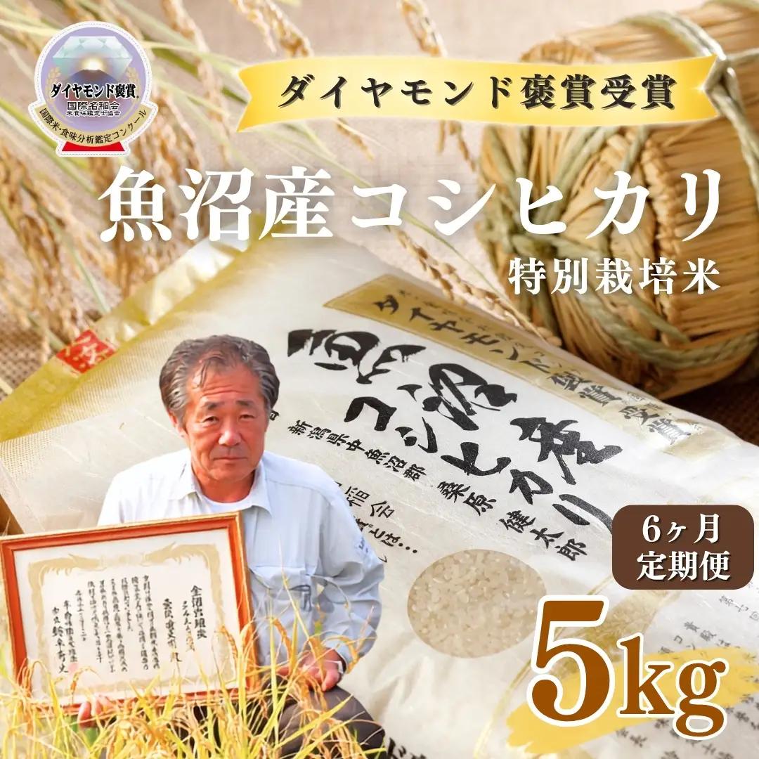 令和8年産 6ヶ月定期便 魚沼産コシヒカリ ダイヤモンド褒賞受賞 特別栽培米 5kg ×1袋 |津南町 魚沼