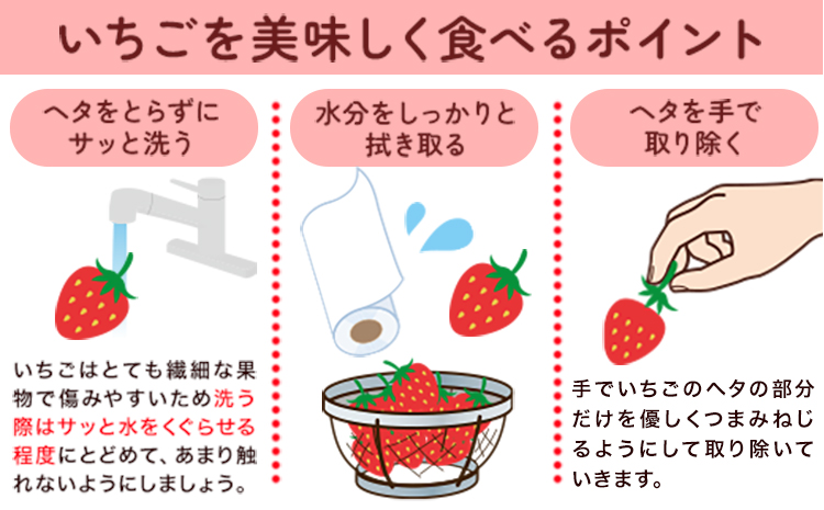 農家直送！先行予約 鞍手町産あまおう 約1080g 約270g×4パック 尾畑農園《令和8年1月中旬頃-3月中旬頃出荷》---iskr_cobau_q13_25_15000_1080g---