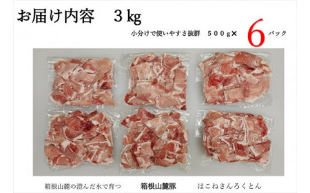 【定期便９ヵ月】箱根山麓豚　モモ・ウデ切り落とし３K盛り(500ｇ×６パック)【 箱根山麓豚 切り落とし 神奈川県 小田原市 】