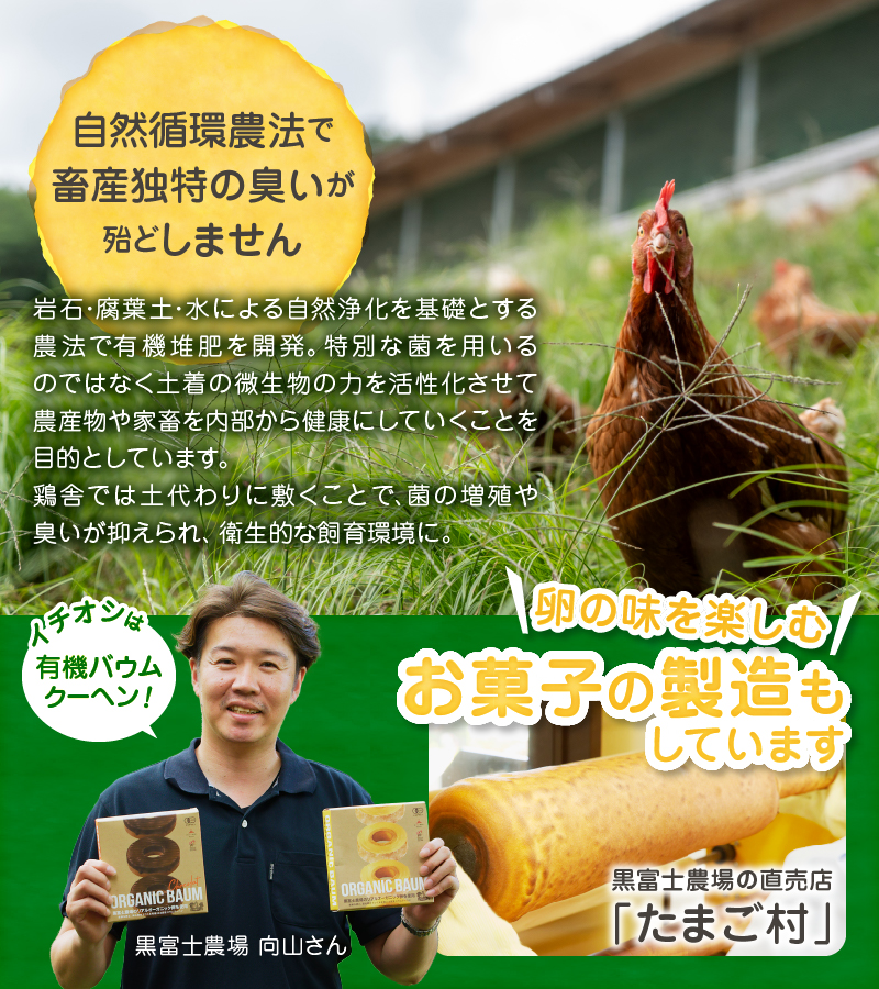 甲州放牧卵の定期便 18個×10回　F-503