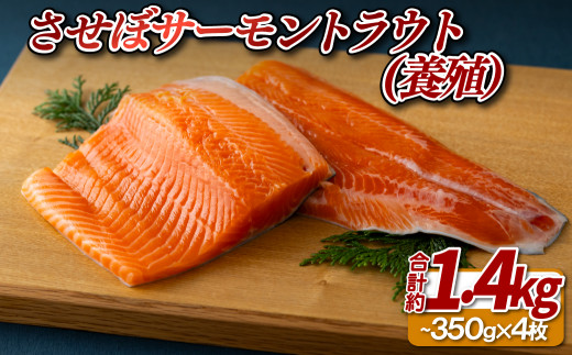 
                  サーモン トラウト 1.4kg ( 350g × 4 ) 産地直送 養殖 させぼ サーモントラウト 鮭 サケ 寿司 寿し 割烹 橘 長崎県 佐世保市
                