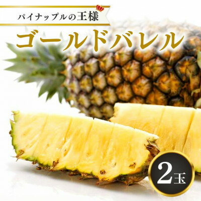 【ふるさと納税】【2025年5月以降順次発送・ハウス栽培】パイナップルの王様 ゴールドバレル2玉【配送不可地域：離島】【1608233】