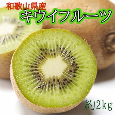 ふるさと納税 由良町 和歌山県産キウイフルーツ約2kg(サイズ混合)【由良町】