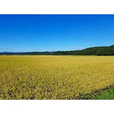 ふるさと納税 五戸町 【令和6年産】青森県産まっしぐら10kg |  | 03