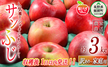 【 フレッシュ便 / 採れたて発送 】 りんご 葉とらず サンふじ 家庭用 〜 訳あり 3kg フレッシュフルーツミカズキ 沖縄県への配送不可 2025年11月中旬頃から2025年11月下旬頃まで順次発送予定 令和7年度収穫分 傷 不揃い リンゴ 林檎 果物 フルーツ 信州 長野 14000円 予約 農家直送 長野県 飯綱町 [1673]