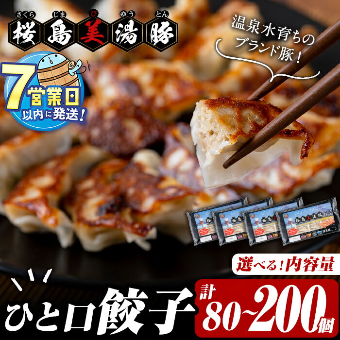 【ふるさと納税】【内容量が選べる！】＜すぐ届く！＞鹿児島県産桜島美湯豚 ひと口餃子＜計80個〜200個＞ 餃子 ぎょうざ ギョーザ 一口餃子 惣菜 おかず お弁当 簡単 豚肉 肉 美湯豚 国産 鹿児島県産 冷凍 小分け【大隅ミート産業】