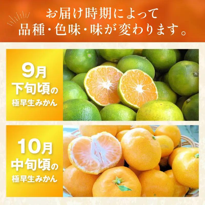 極早生みかん(ご家庭用） 10kg 和歌山産《先行予約》みかん【0150-5】 