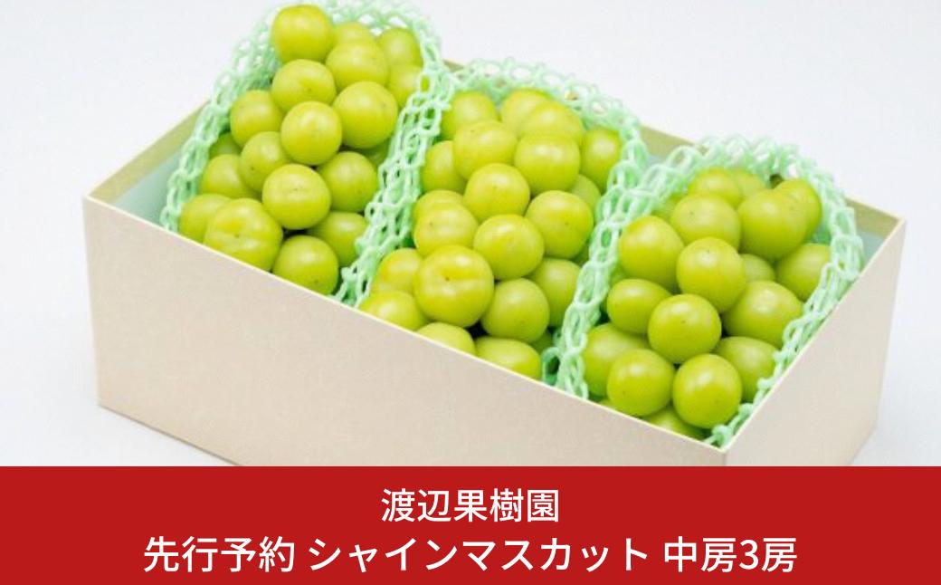 
            先行予約 中房シャインマスカット3房 (約1.5kg) 令和8年度 贈答用 シャインマスカット 新潟県 三条市産 ぶどう [渡辺果樹園] 【026S044】
          