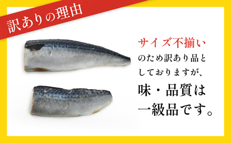 訳あり 無塩サバフィレ3.5kg （30枚前後） 冷凍 さば 鯖 不揃い 魚 お魚 焼き魚 煮魚 おかず お弁当 美味しい 簡単調理