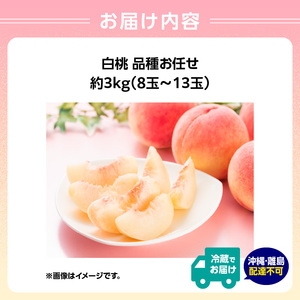 白桃 品種お任せ 3kg（8玉～13玉）【道の駅おおえ】 004-013