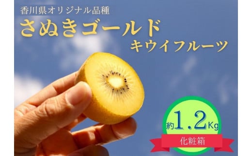
            ＜先行受付　2025年発送＞さぬきゴールド　キウイフルーツ　約1.2kg（化粧箱）
          