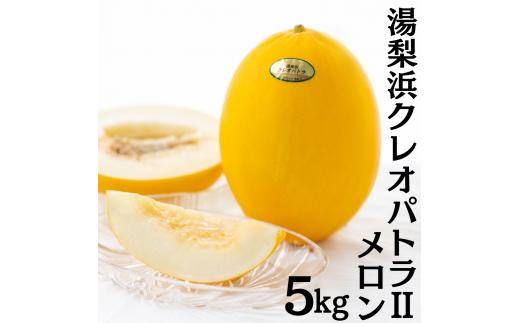 19MS.【2026年先行受付】湯梨浜クレオパトラⅡメロン5kg