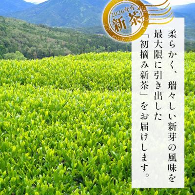 ふるさと納税 東白川村 【2026年産新茶予約品】初摘み新茶 50g 煎茶 東白川村産 美濃白川茶 茶葉 |  | 01