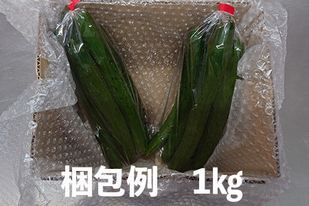 新鮮きゅうり1kg【特別栽培農産物】