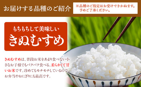 令和7年産 白米 ありがとう園のお米 10kg