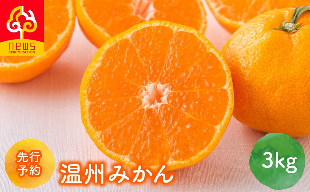 【先行予約】温州みかん 3kg（2026年11月上旬より順次発送）IKTF032