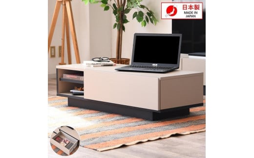 
            センターテーブル リビングテーブル 幅110cm 引出し収納 サイドテーブル ローテーブル 大川家具
          