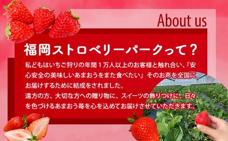【訳あり】 いちご 2027年2月下旬より発送 あまおう サイズ色々 8パック 約2.28kg いちご